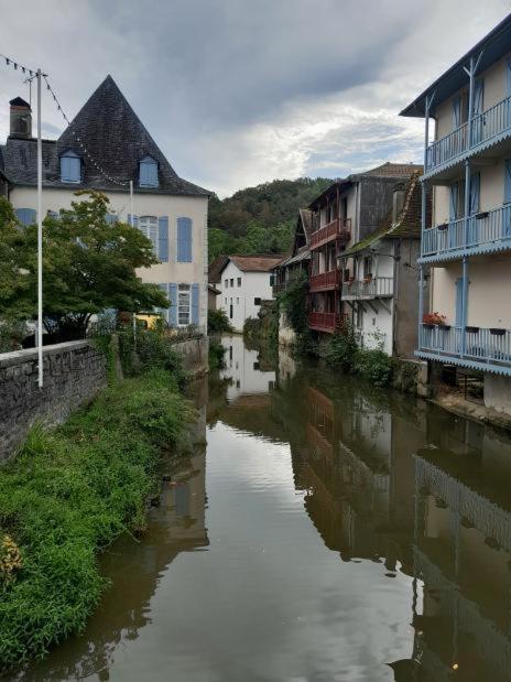Maison Ichabelenia Salies-de-Béarn Dış mekan fotoğraf